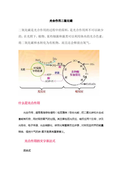 光合作用二氧化碳