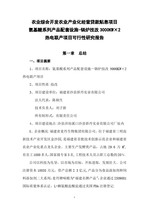 锅炉技改余压余热发电项目可行性研究报告