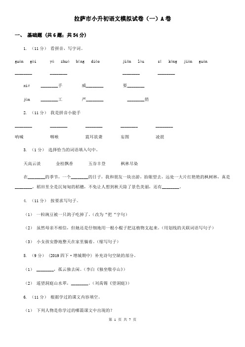 拉萨市小升初语文模拟试卷(一)A卷