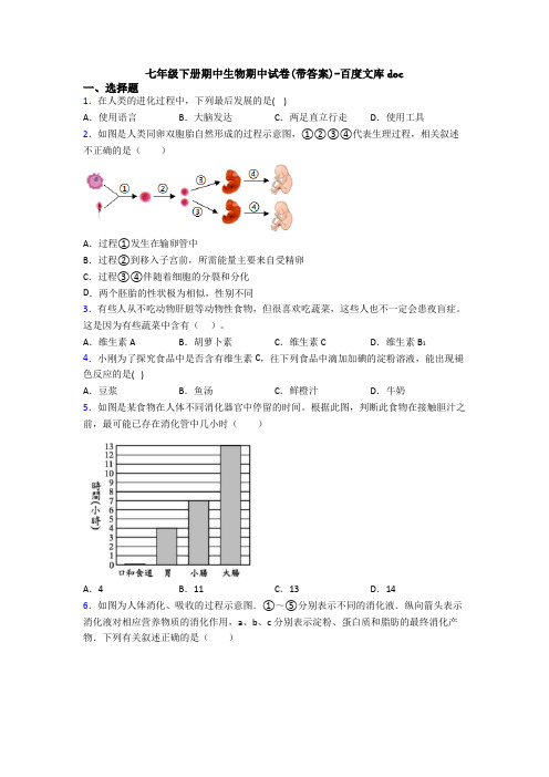 七年级下册期中生物期中试卷(带答案)-百度文库doc