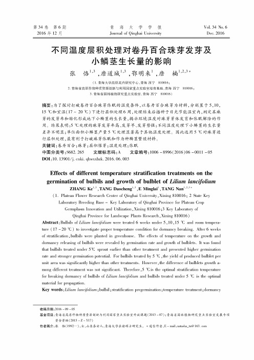 不同温度层积处理对卷丹百合珠芽发芽及小鳞茎生长量的影响