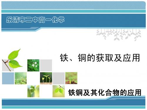 铁、铜及其化合物的应用