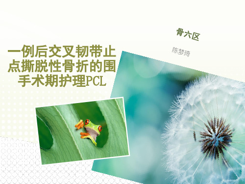 2019一例后交叉韧带止点撕脱性骨折的围手术期护理