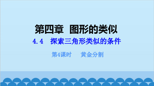 北师大版数学九年级上册第4课时黄金分割课件