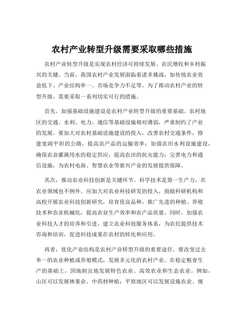 农村产业转型升级需要采取哪些措施