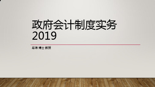 政府会计制度实务(2019)