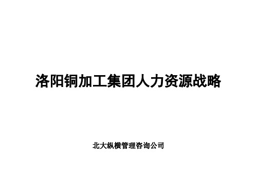 洛阳铜加工集团人力资源战略(PPT 106页)