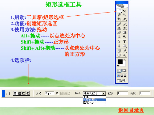 2019完整版大学授课PPT课件