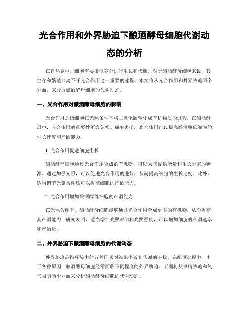 光合作用和外界胁迫下酿酒酵母细胞代谢动态的分析