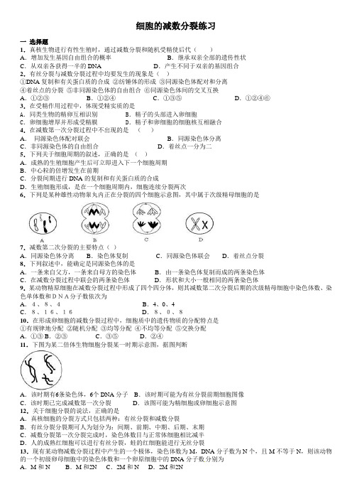 减数分裂经典习题教学总结