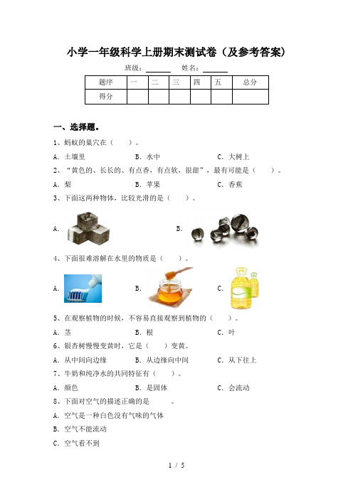 小学一年级科学上册期末测试卷(及参考答案)