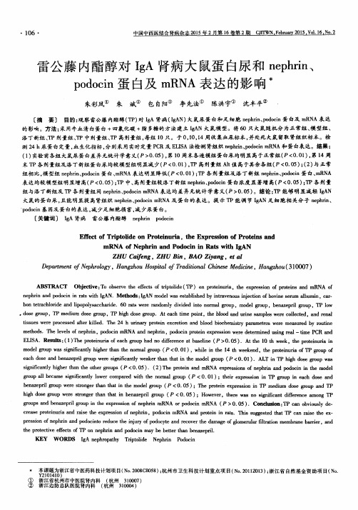 雷公藤内酯醇对IgA肾病大鼠蛋白尿和nephrin、podocin蛋白及mRNA表达的影响