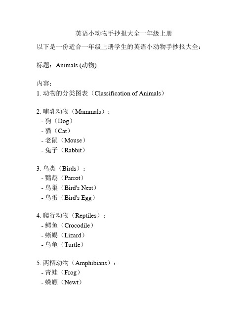 英语小动物手抄报大全一年级上册