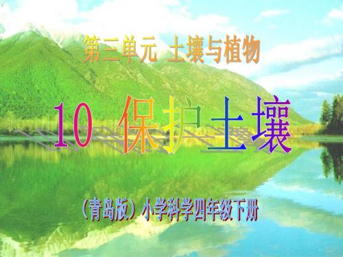 10保护土壤