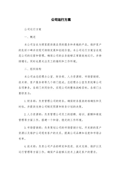 公司运行方案