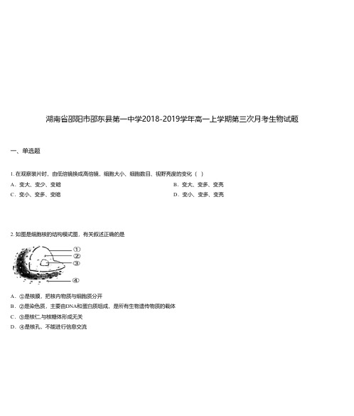 湖南省邵阳市邵东县第一中学2018-2019学年高一上学期第三次月考生物试题