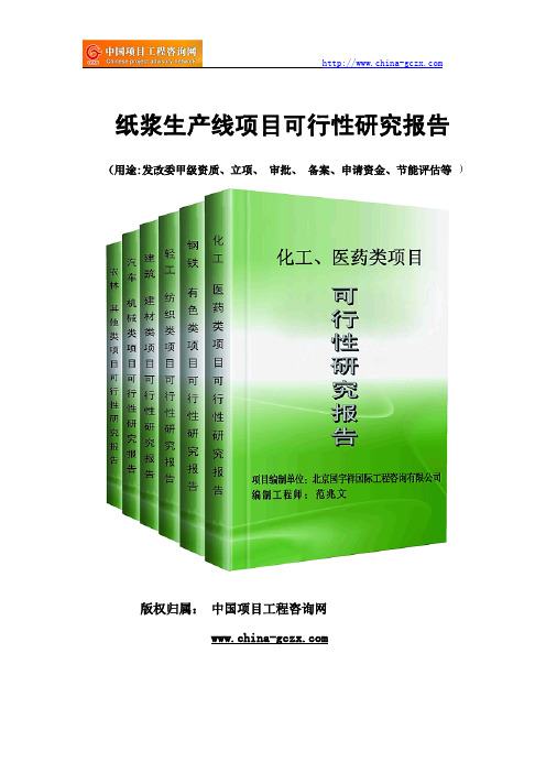 纸浆生产线项目可行性研究报告(专业经典案例)