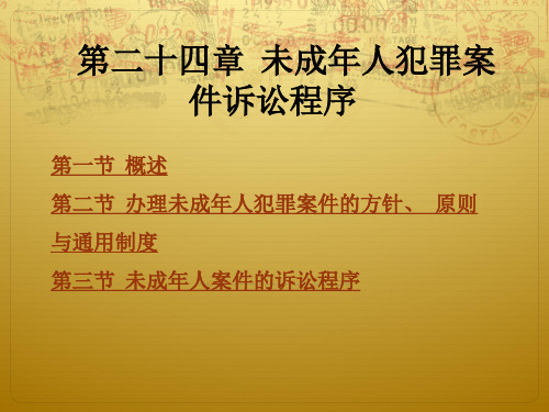 第二十四章  未成年人犯罪案件诉讼程序