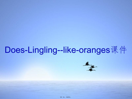 DoesLinglinglikeoranges课件