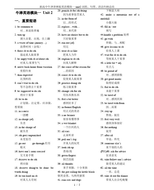 新高中牛津译林版英语模块一unit2词组、句型、语法归纳总结