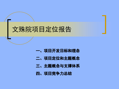 成都文殊院项目定位报告174页