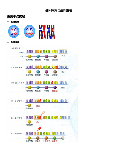 基因突变与基因重组习题和讲义