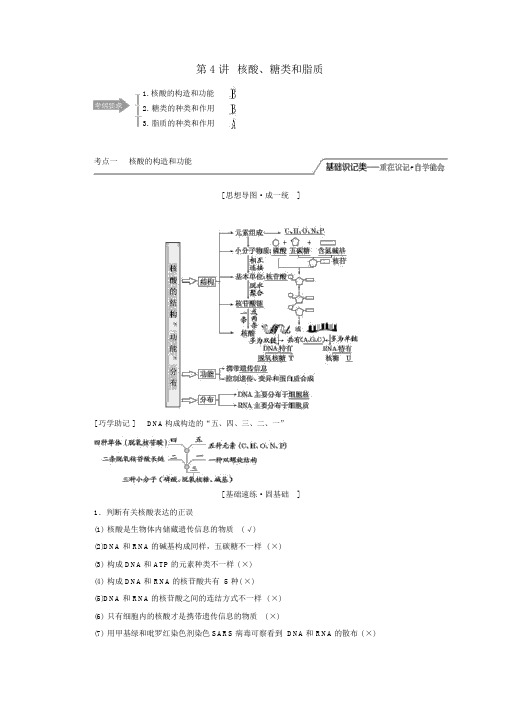 2020版高考生物一轮复习第一单元第4讲核酸、糖类和脂质讲义