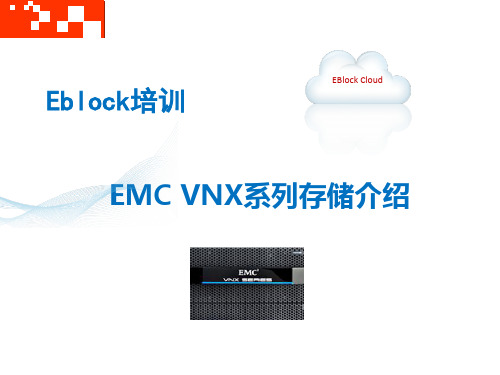 EMC VNX系列存储介绍