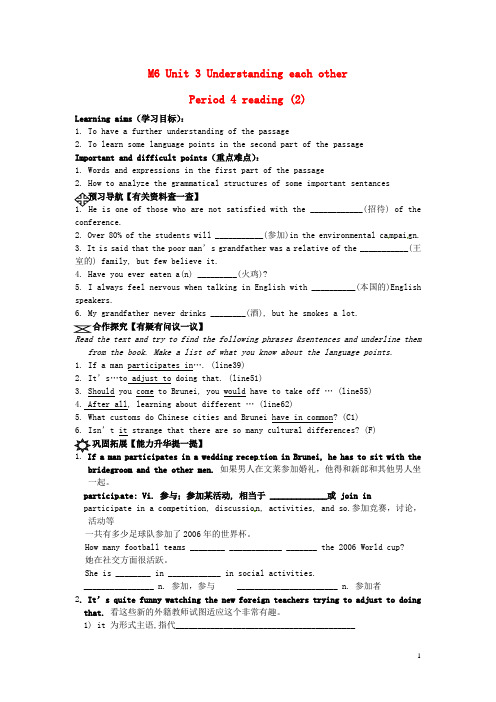 江苏省高邮市送桥高级中学高考英语一轮复习 Module6 Unit3 Understanding e