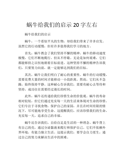 蜗牛给我们的启示20字左右