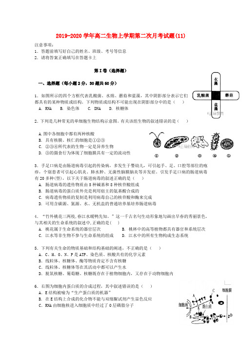 2019-2020学年高二生物上学期第二次月考试题(11).doc