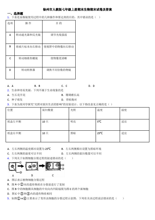 徐州市人教版七年级上册期末生物期末试卷及答案