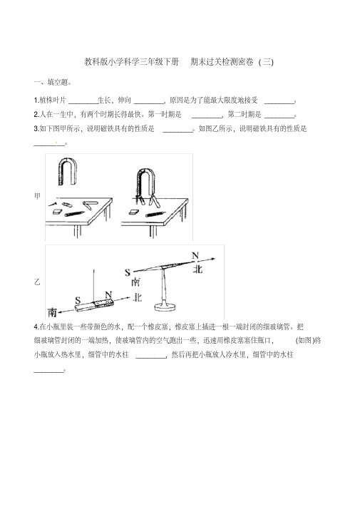 教科版三年级下册科学试题-期末过关检测密卷(三)(含答案)