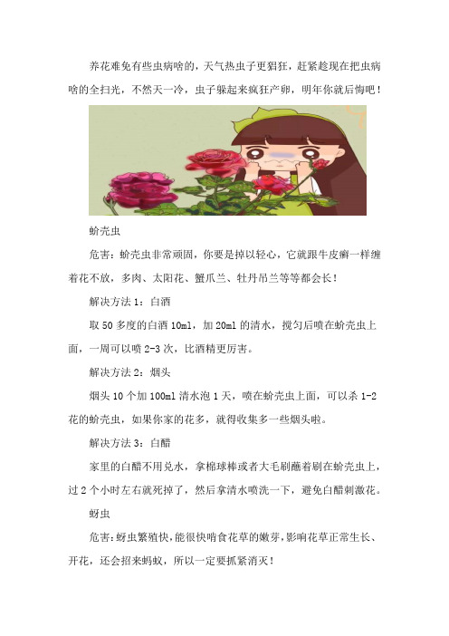 这些小东西不赶紧杀,一夜把花全啃成猪头,肠子都要悔青...