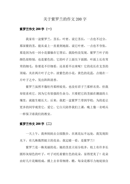 关于紫罗兰的作文200字