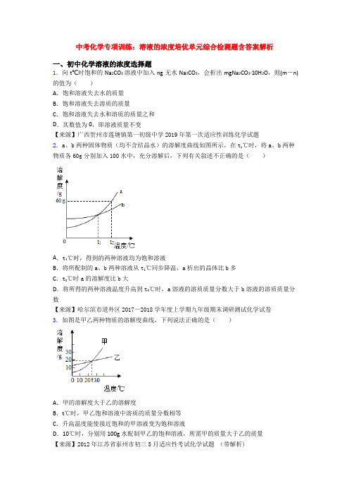 中考化学专项训练：溶液的浓度培优单元综合检测题含答案解析