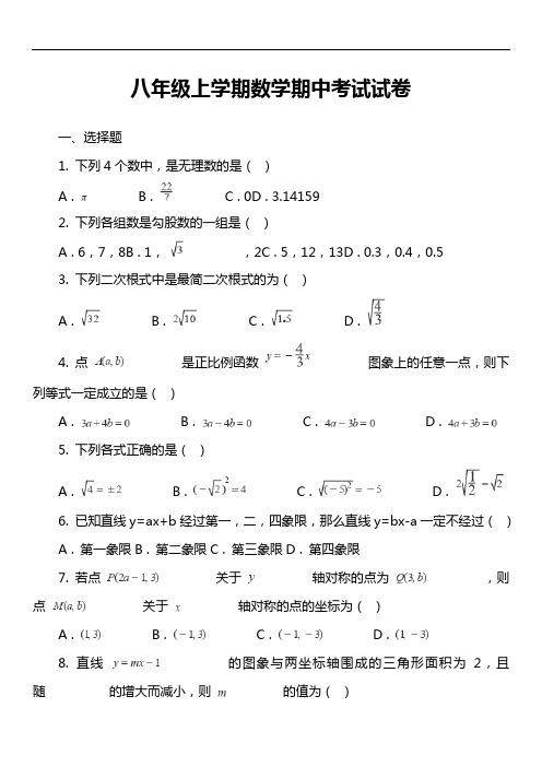 八年级上学期数学期中考试试卷第11套真题