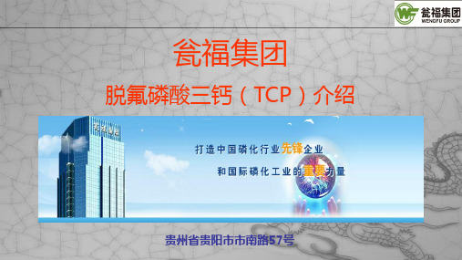 瓮福TCP介绍