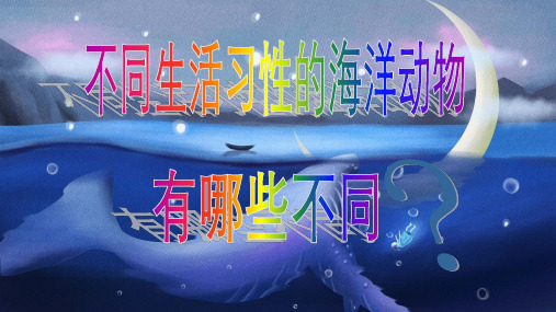 海洋生物知识科普-海洋动物生活习性介绍