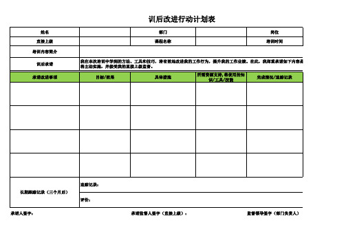 5 训后改进行动计划表