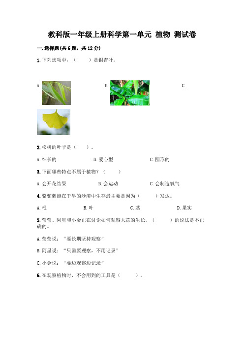 教科版一年级上册科学第一单元 植物 测试卷加答案