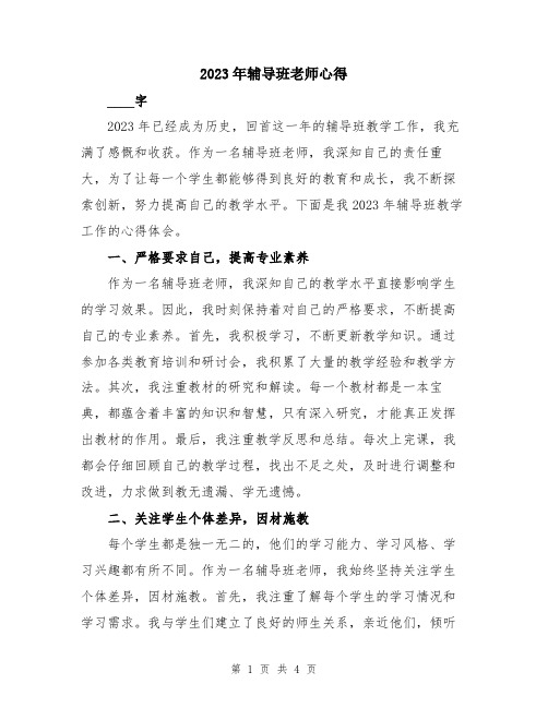 2023年辅导班老师心得