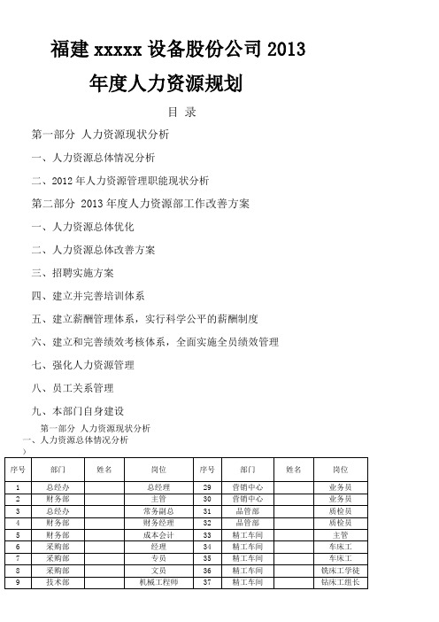 2013年人力资源规划-完美