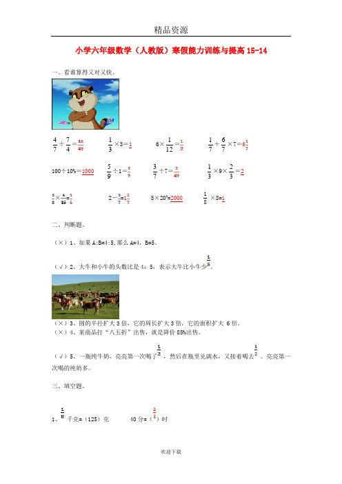 (数学人教版)六年级寒假能力训练与提高 14.doc