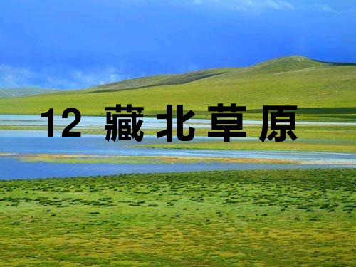 五年级上册语文课件-4.2 藏北草原|鄂教版 (共24张PPT)