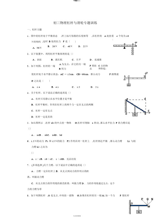 初中物理科学九年级中考复习杠杆与滑轮专题训练题精选