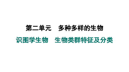 2024年人教版七年级生物上册 识图学生物 生物类群特征及分类(训练课件)