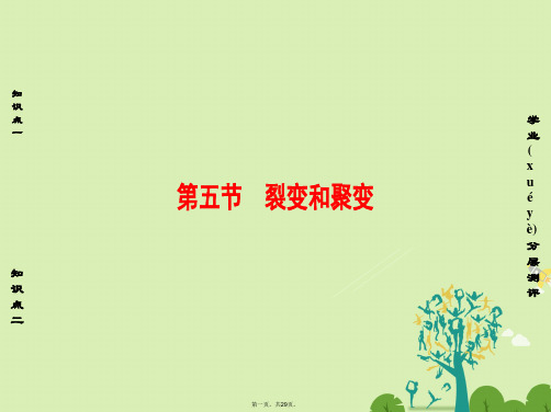 课堂新坐标高中物理第4章原子核第5节裂变和聚变课件粤教版选修3501162148