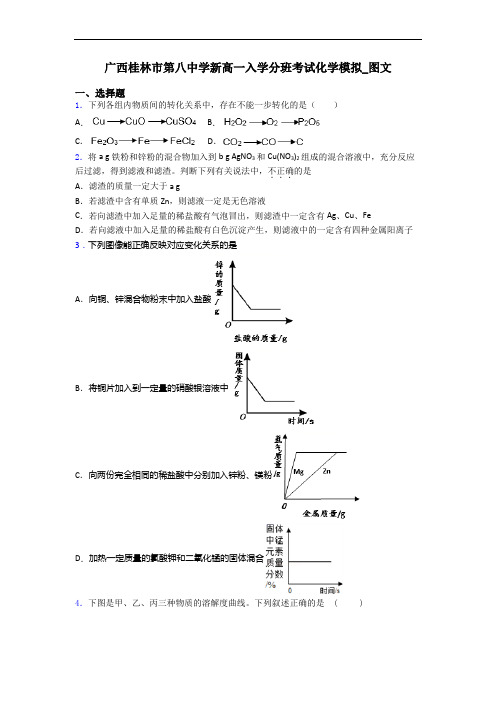 广西桂林市第八中学新高一入学分班考试化学模拟_图文