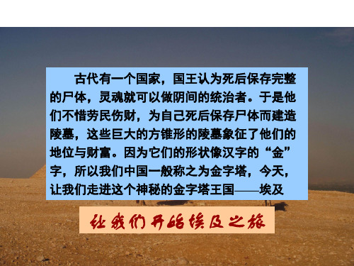 ·8.2 埃及
